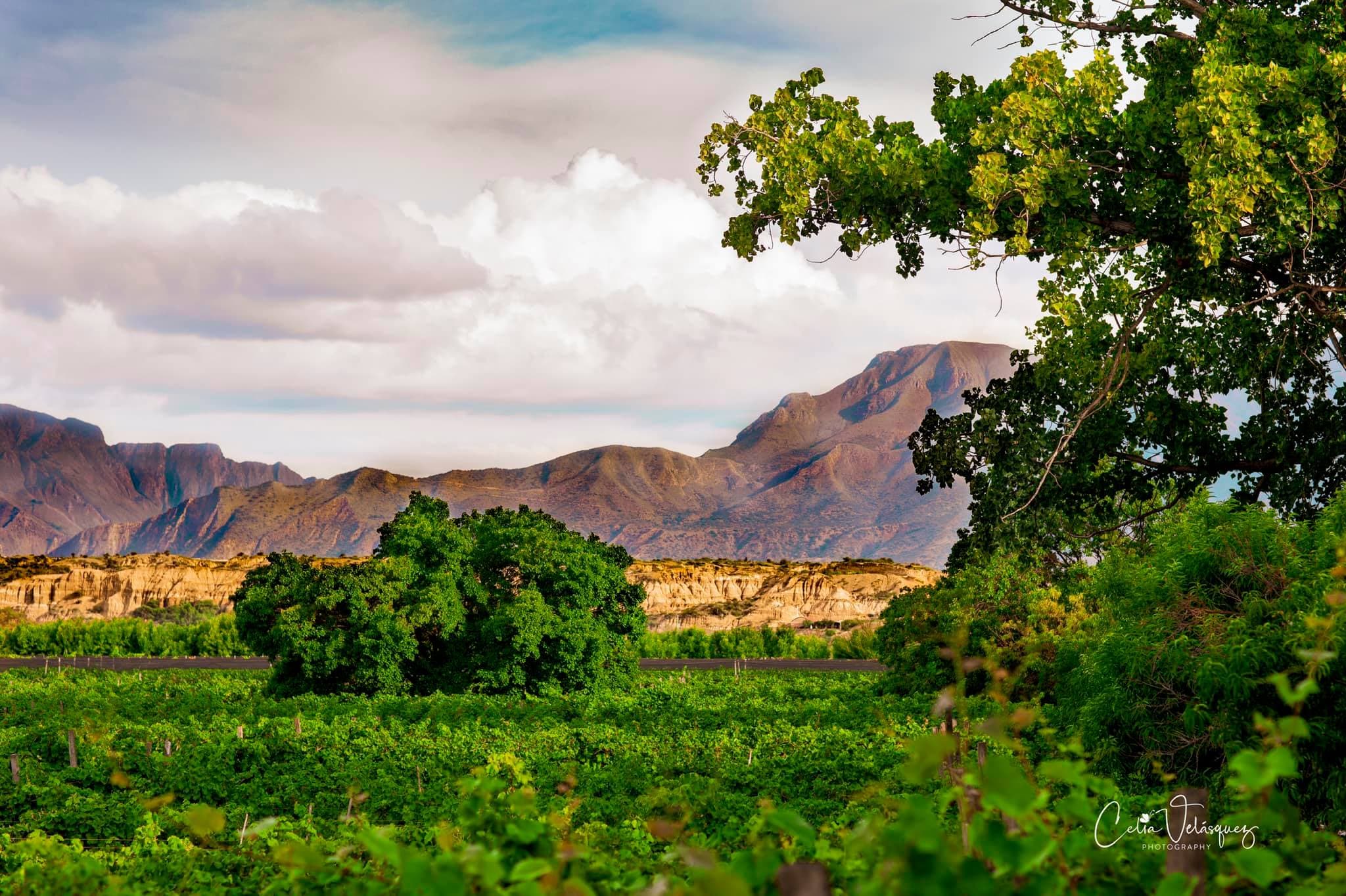 Valle de la Concepción